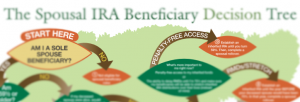 Surviving Spouse Options